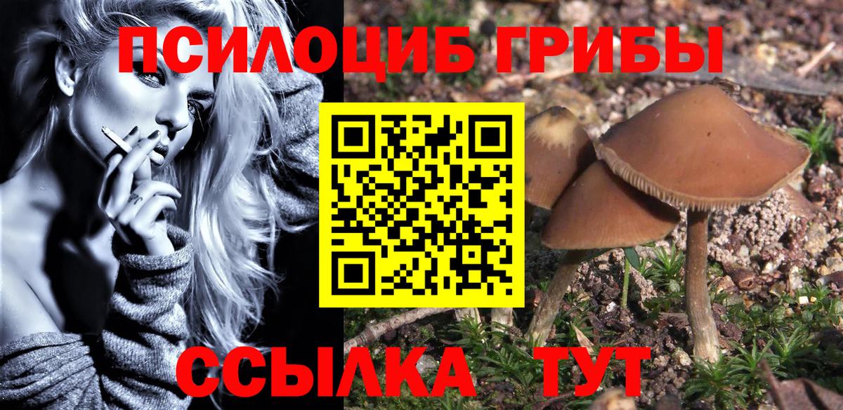 Псилоцибиновые грибы MAGIC MUSHROOMS Братск