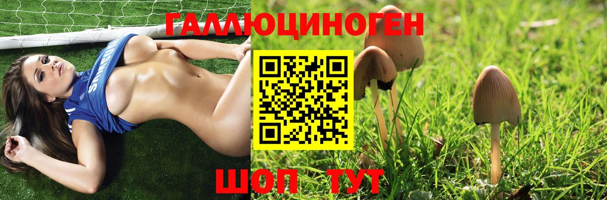 Псилоцибиновые грибы Magic Shrooms  Вход с VPN  Братск 